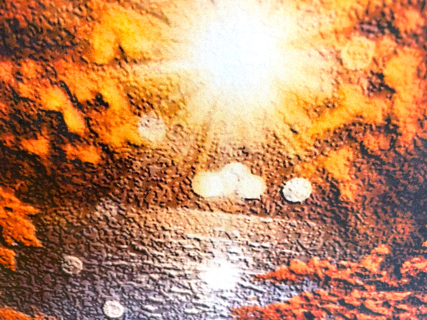 Greeting Card - Blank